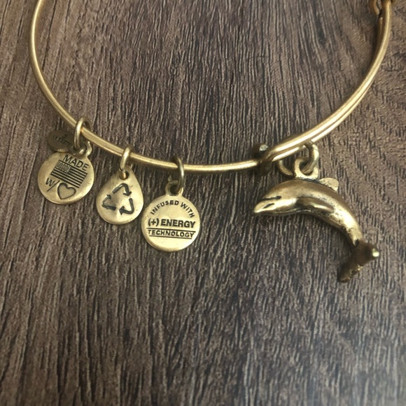 Alex and Ani Dolphin Bangle - Picture 2 of 2
